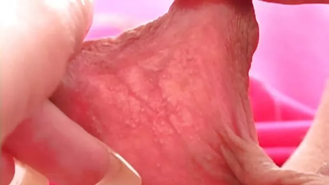 culo a boca teens2 porno español latino hd