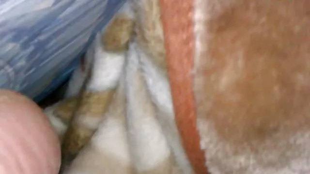 Pareja sexo español latino alemana amateur